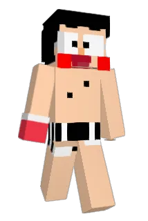 TNTBOOK Minecraft avatar full body