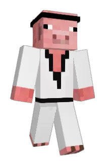 TNT_L Minecraft avatar full body