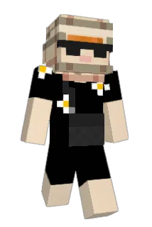 TOBPROWOEINE3iFR Minecraft avatar full body