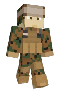 TOKAMAKK Minecraft avatar full body