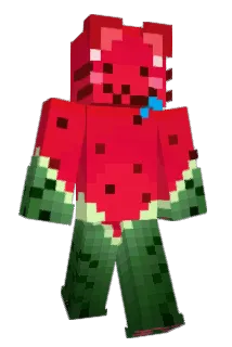 TOLA2025 Minecraft avatar full body