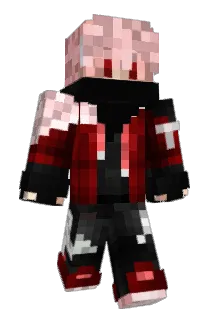 TOM_MOCKs_1355 Minecraft avatar full body