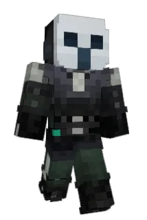 TOOL_Enjoyer_96 Minecraft avatar full body