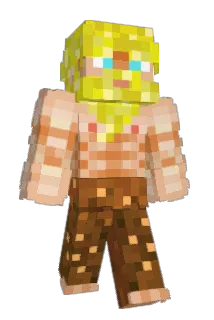 TOSCNI Minecraft avatar full body