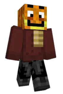 TOTAL_LS_19 Minecraft avatar full body