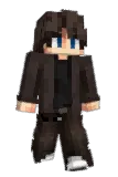 TOYCA Minecraft avatar full body