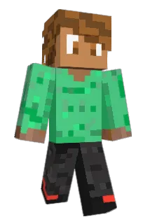 TP1905 Minecraft avatar full body