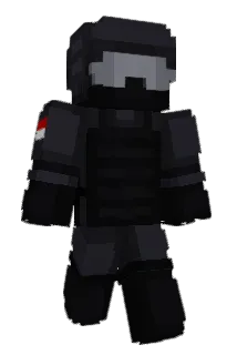 TP48 Minecraft avatar full body