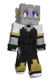 TPS_L2 Minecraft avatar full body