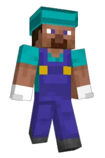 TPcool06 Minecraft avatar full body