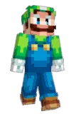 TPixel55 Minecraft avatar full body