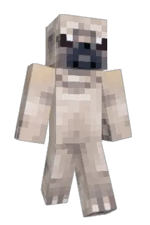 TRAGGIE123 Minecraft avatar full body