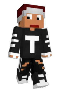 TRINKTBIER Minecraft avatar full body