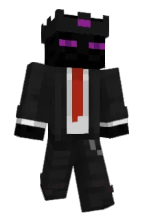 TRITZG Minecraft avatar full body