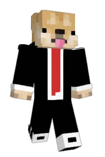TRMertDemirci Minecraft avatar full body