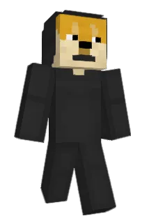 TROLLERDOGE Minecraft avatar full body