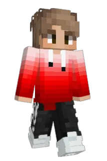 TS395 Minecraft avatar full body
