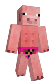 TSM_RAJ7282 Minecraft avatar full body