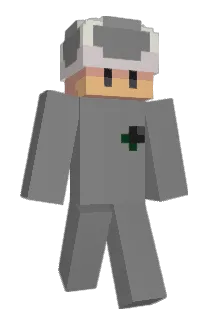 TS_2001 Minecraft avatar full body