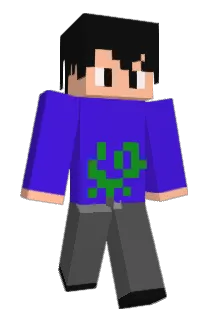 TT20031113 Minecraft avatar full body