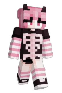 TTNarwhals Minecraft avatar full body