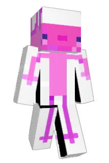 TTayoc Minecraft avatar full body