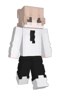 TTudou Minecraft avatar full body