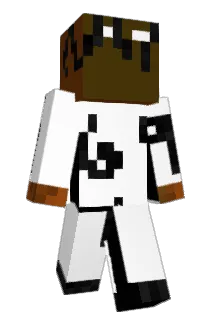 TTv_yourabot801 Minecraft avatar full body