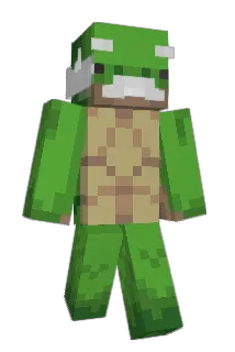 TURTLE_______ Minecraft avatar full body