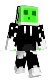 TVHOPA1806 Minecraft avatar full body