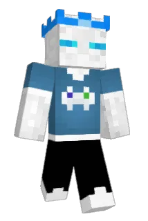 TVSuper Minecraft avatar full body