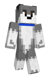 TWC_Cool Minecraft avatar full body
