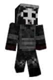 TWT66 Minecraft avatar full body
