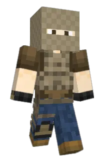 TXRepublic Minecraft avatar full body