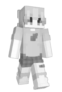 TY011 Minecraft avatar full body
