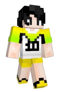TY0809 Minecraft avatar full body