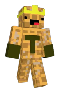TY1515 Minecraft avatar full body