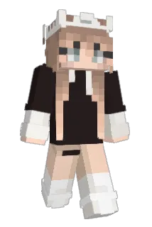 TYfox204 Minecraft avatar full body