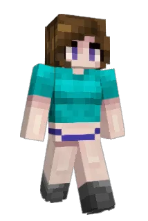 TZ1009 Minecraft avatar full body