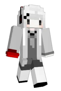 T_Expedition Minecraft avatar full body