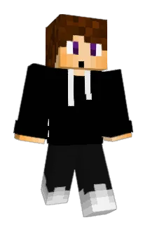 T_FR Minecraft avatar full body