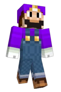 T_Foxx Minecraft avatar full body