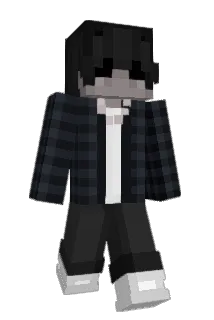 T_Q2 Minecraft avatar full body
