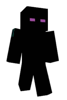 T_Raff Minecraft avatar full body