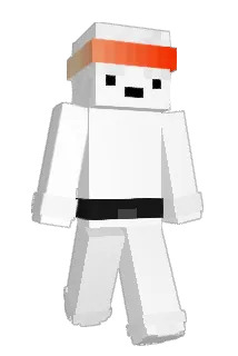 T_gamer_boy Minecraft avatar full body