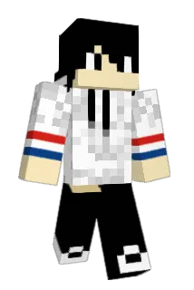 TaBuckets Minecraft avatar full body