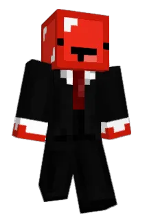 TaateliFin Minecraft avatar full body