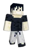 Table12_ Minecraft avatar full body