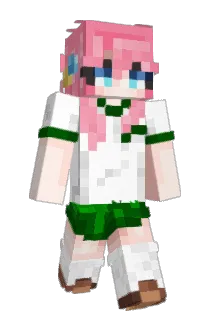 Taco32x Minecraft avatar full body