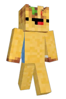 Tacocat91 Minecraft avatar full body
